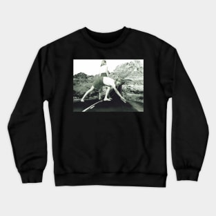 Playtime Crewneck Sweatshirt